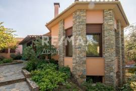 House 385 sq.m for sale
