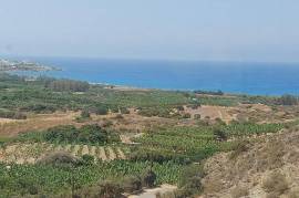 House (Detached) in Kissonerga, Paphos for Sale