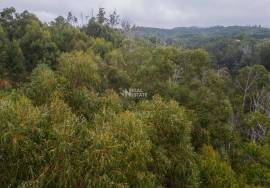 Tourist investment land Tourist investment land