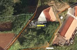 Unique Opportunity: Mixed Building in the Rural Heart