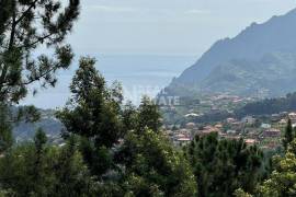 Unique Opportunity: Mixed Building in the Rural Heart