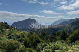 Unique Opportunity: Mixed Building in the Rural Heart