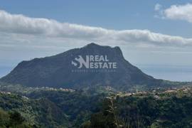 Unique Opportunity: Mixed Building in the Rural Heart