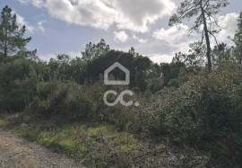 Land Óbidos Usseira Land Óbidos Usseira