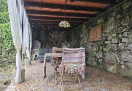 A Magical Cottage in the Woods A Magical Cottage in the Woods