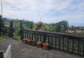 A Magical Cottage in the Woods A Magical Cottage in the Woods