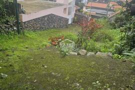 A Magical Cottage in the Woods A Magical Cottage in the Woods