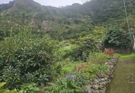 A Magical Cottage in the Woods A Magical Cottage in the Woods