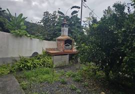 A Magical Cottage in the Woods A Magical Cottage in the Woods