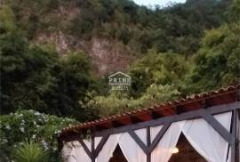 A Magical Cottage in the Woods A Magical Cottage in the Woods