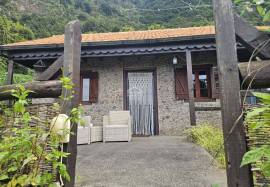 A Magical Cottage in the Woods