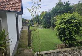 A Magical Cottage in the Woods A Magical Cottage in the Woods