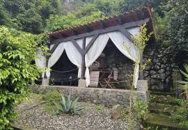 A Magical Cottage in the Woods A Magical Cottage in the Woods