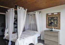 A Magical Cottage in the Woods A Magical Cottage in the Woods