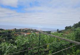 A Magical Cottage in the Woods A Magical Cottage in the Woods