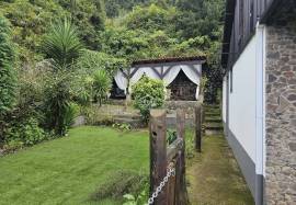 A Magical Cottage in the Woods A Magical Cottage in the Woods