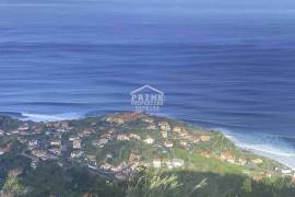 A Magical Cottage in the Woods A Magical Cottage in the Woods