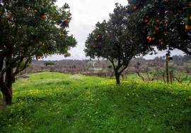 Detached House 3 Bedrooms, Casal de Ribafeita, Viseu