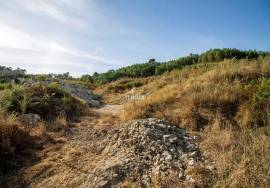 Plot 40.000 m², Carragoso, Viseu