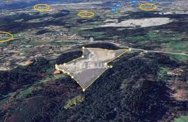 Plot 40.000 m², Carragoso, Viseu
