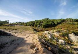 Plot 40.000 m², Carragoso, Viseu