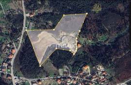 Plot 40.000 m², Carragoso, Viseu