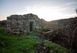 Farm with 1ha, Cunha Alta, Mangualde