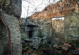 Farm with 1ha, Cunha Alta, Mangualde