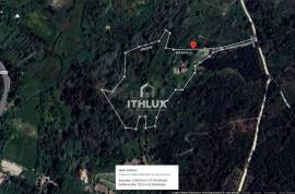 Farm with 1ha, Cunha Alta, Mangualde