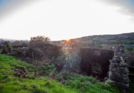 Farm with 1ha, Cunha Alta, Mangualde