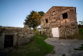 Farm with 1ha, Cunha Alta, Mangualde