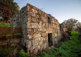 Farm with 1ha, Cunha Alta, Mangualde