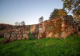 Farm with 1ha, Cunha Alta, Mangualde