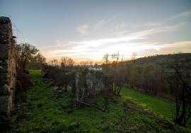 Farm with 1ha, Cunha Alta, Mangualde