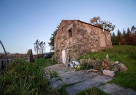 Farm with 1ha, Cunha Alta, Mangualde