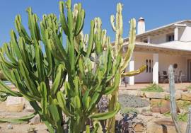 Distinctive 3 or 4  bedroom villa with pool, potential guest suite & amazing grounds.