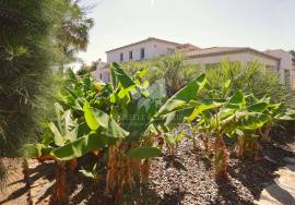 Distinctive 3 or 4  bedroom villa with pool, potential guest suite & amazing grounds.