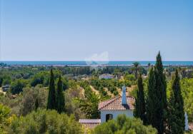 Detached 2 Bedroom Country Home with a 1 Bedroom self contained annex. Near Tavira