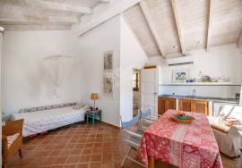 Detached 2 Bedroom Country Home with a 1 Bedroom self contained annex. Near Tavira