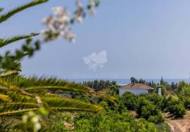 Detached 2 Bedroom Country Home with a 1 Bedroom self contained annex. Near Tavira