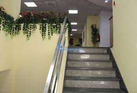 Office Space for Annual Lease – 519 m²