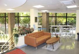 Office Space for Annual Lease – 519 m²