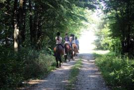 Excellent Plot of Land For Sale In Ciocanari