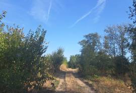 Excellent Plot of Land For Sale In Ciocanari