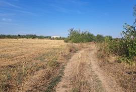 Excellent Plot of Land For Sale In Ciocanari