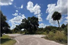Excellent Plot of land for sale in Orlando Florida Excellent Plot of land for sale in Orlando Florida