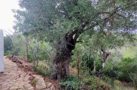 Authentic Portuguese country house with 4ha in protected area – Loulé Authentic Portuguese country house with 4ha in protected area – Loulé