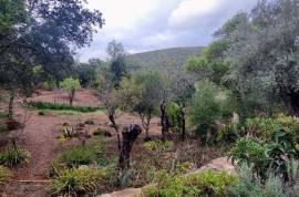 Authentic Portuguese country house with 4ha in protected area – Loulé Authentic Portuguese country house with 4ha in protected area – Loulé