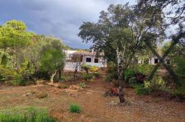 Authentic Portuguese country house with 4ha in protected area – Loulé Authentic Portuguese country house with 4ha in protected area – Loulé
