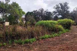 Authentic Portuguese country house with 4ha in protected area – Loulé Authentic Portuguese country house with 4ha in protected area – Loulé